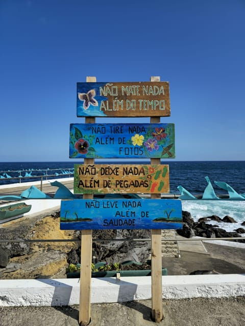 Tour along the coast of Terceira Island - Transportation and Group Dynamics
