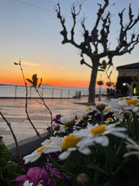 Tour Amalfi Coast - Booking and Cancellation Policy