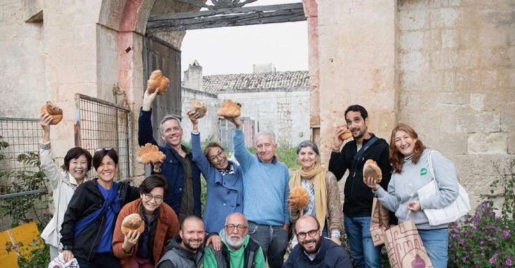 Tour Among the Oil Temples and the Patriarch Olive Trees - Tour Duration and Booking Details