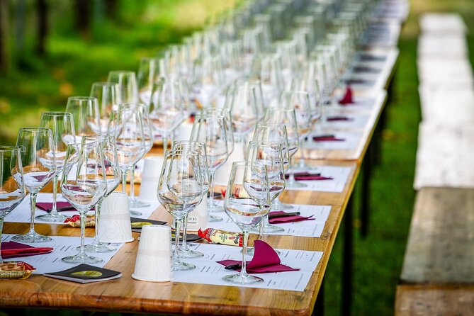 Tour and 3 Wines Tasting in the Prosecco Hills - Tour Details
