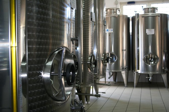 Tour and Extra Virgin Olive Oil Tasting in a Farmhouse, Small Group - What To Expect