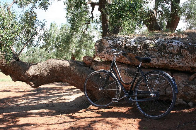 Tour and Extra Virgin Olive Oil Tasting in a Farmhouse, Small Group - Common Questions