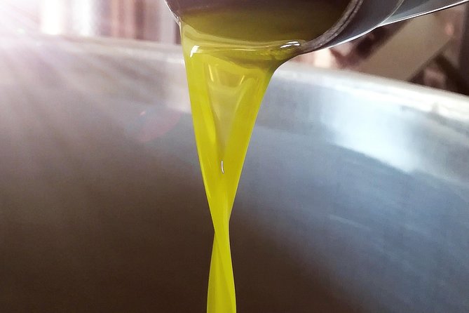 Tour and Extra Virgin Olive Oil Tasting in a Farmhouse, Small Group - The Sum Up