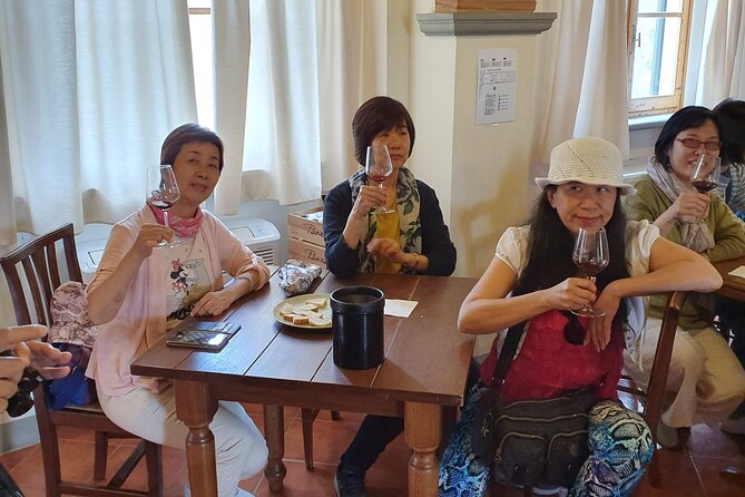 Tour and Tasting at an Organic Winery in Panzano in Chianti - Questions and Assistance