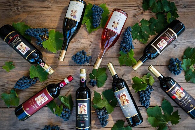 Tour and Tasting at an Organic Winery in the Heart of Chianti Classico Area - International Visitors Reviews