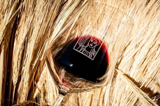 Tour and Tasting at an Organic Winery in the Heart of Chianti Classico Area - The Sum Up