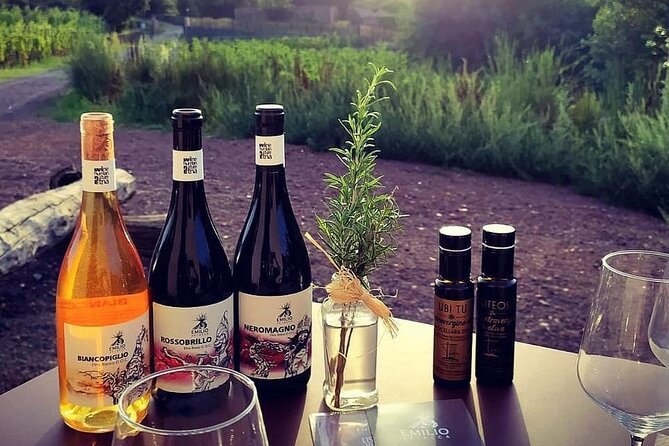 Tour and Wine Tasting at the Etna Cellars - Price and Booking