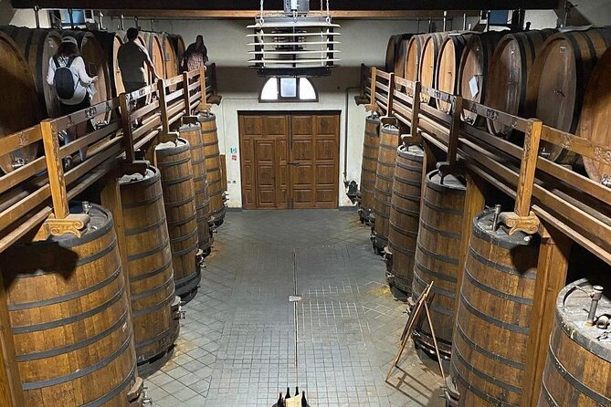 Tour and Wine Tasting at the Etna Cellars - Health and Safety