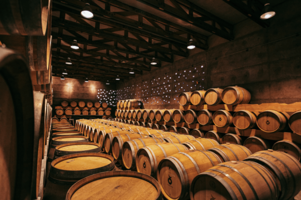Tour and Wine Tasting in Cuna De Tierra - Frequently Asked Questions