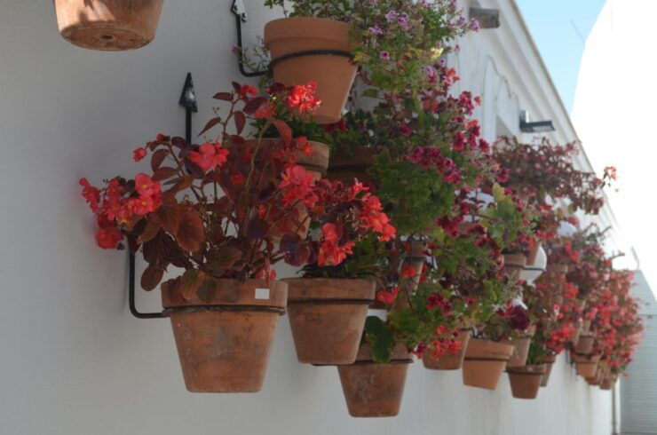 Tour Around Estepona City Center - Booking Information