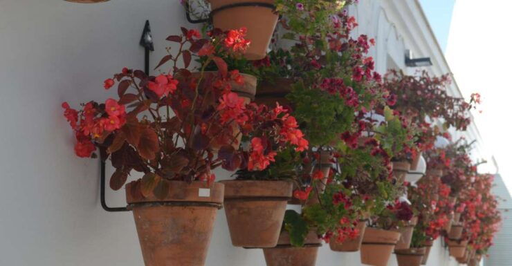 Tour Around Estepona City Center - Tour Experience Highlights