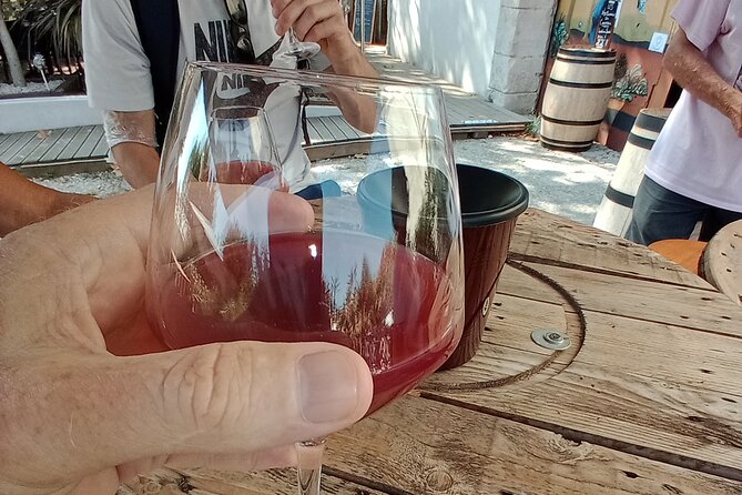 Tour Around the Pic Saint Loup - Cancellation Policy