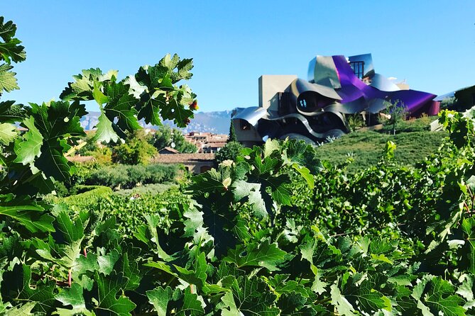 Tour Arquitectónico De La Región De Rioja Con Degustación De Vinos En Grupo Reducido Y Almuerzo Desde Bilbao. - Valor Del Tour
