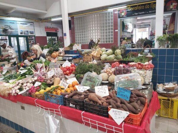 Tour Arrábida/Setúbal/Lisbon - Local Market Exploration