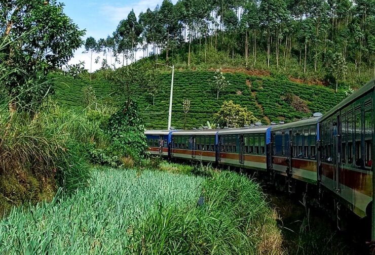 Tour Arrangement: Round Tours, Multi Day Tours in Sri Lanka - Booking and Reservation Information