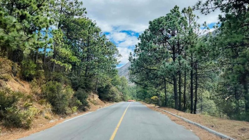 Tour "Arteaga Coahuila" + Guía + Traslados + Tickets - Who Will Enjoy This Tour?