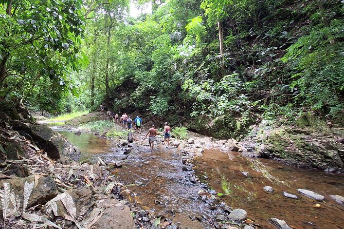 Tour at the Chagres Rainforest and Embera Indigenous Village - Tour Overview