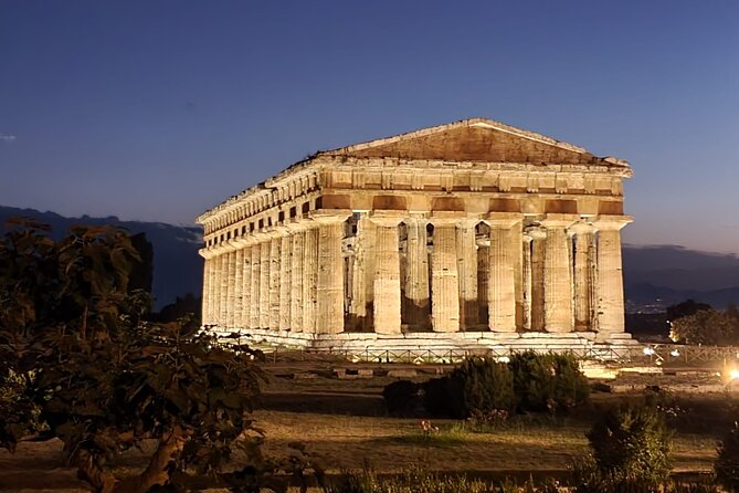 Tour at the Temples and the National Museum of Paestum - National Museum Visit