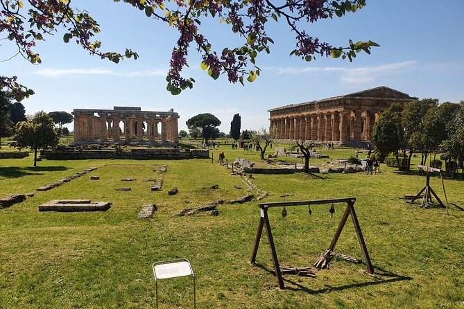 Tour at the Temples and the National Museum of Paestum - Pricing and Booking Details