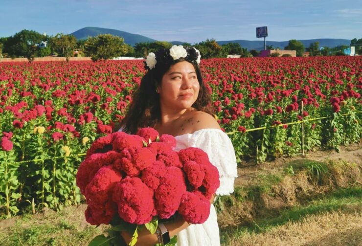 Tour Atlixco and Cholula in a Single Day. - Itinerary and Highlights