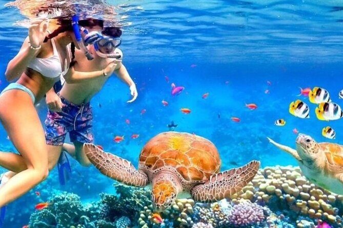 Tour Bali Blue Lagoon Snorkeling and East Bali Adventure - Authentic Experiences and Tips from Reviewers