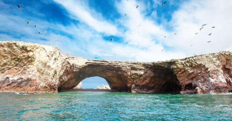 Tour: Ballestas Islands and the Paracas National Reserve - Tour Overview