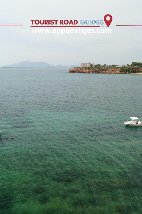 Tour: Bathing With Tuna in the Ebro Delta & Olives Route - Trip Itinerary and Transportation