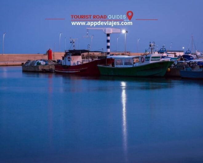 Tour: Bathing With Tuna in the Ebro Delta & Olives Route - Inclusions and Exclusions