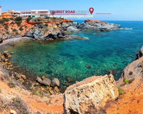 Tour: Bathing With Tuna in the Ebro Delta & Olives Route - Booking and Cancellation Policy