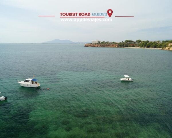 Tour: Bathing With Tuna in the Ebro Delta & Olives Route - Frequently Asked Questions