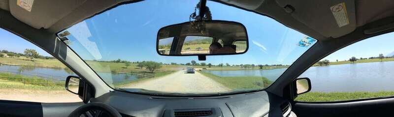 Tour "Bioparque" + Traslados + Tickets incluidos - A Closer Look at the Safari Experience