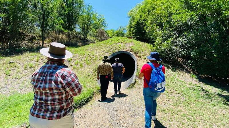 Tour "Bioparque" + Traslados + Tickets incluidos - Analyzing the Value: Is It Worth It?