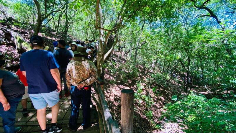 Tour "Bioparque" + Traslados + Tickets incluidos - Who Will Love This Tour?