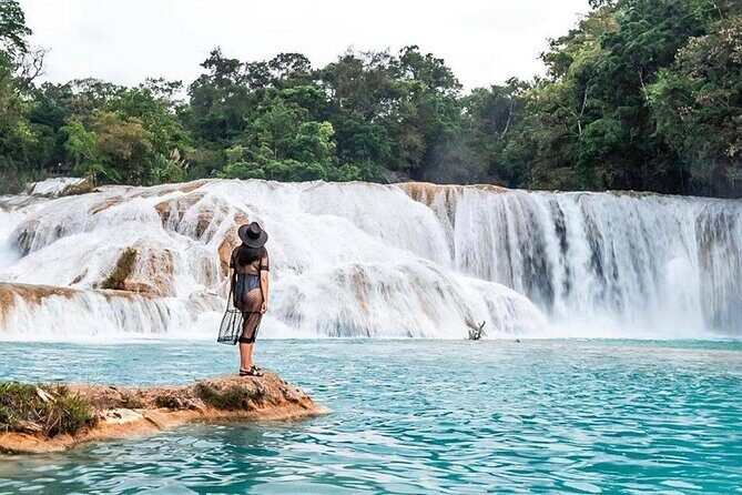 Tour Blue Waterfalls MisolHa and Palenque Waterfall - Good To Know