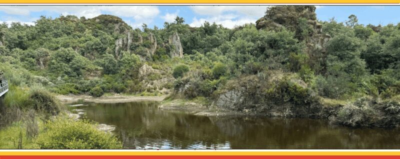 TOUR BUGGY IN BOTICAS AND CHAVES - The Vehicles and Safety