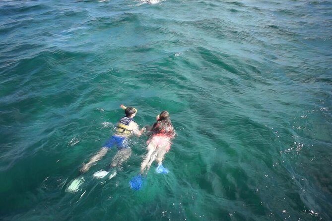 Tour Catamaran Isla Mujeres With Open Bar - Practical Details & Tips