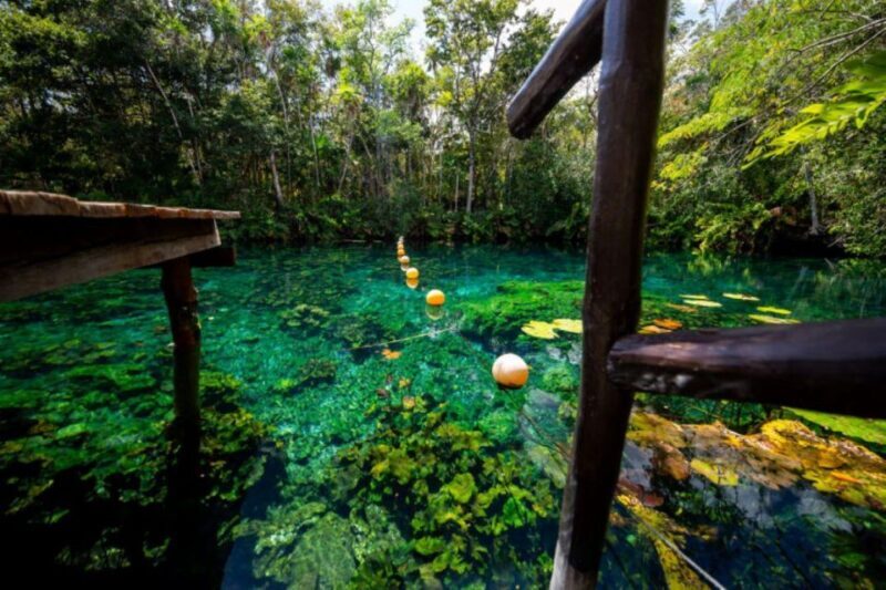 Tour Coba Ruins & Refreshing Cenote Xux Ha Swim With Lunch - Deep Dive Into the Experience