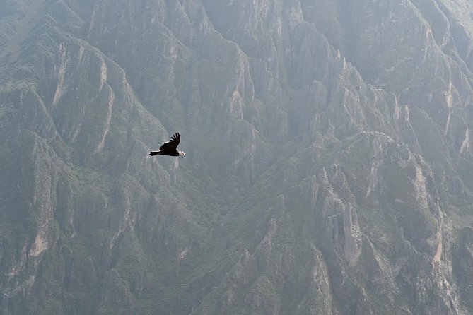 Tour Colca Canyon 2d -1n From Arequipa, Ending In Puno - Transportation Details