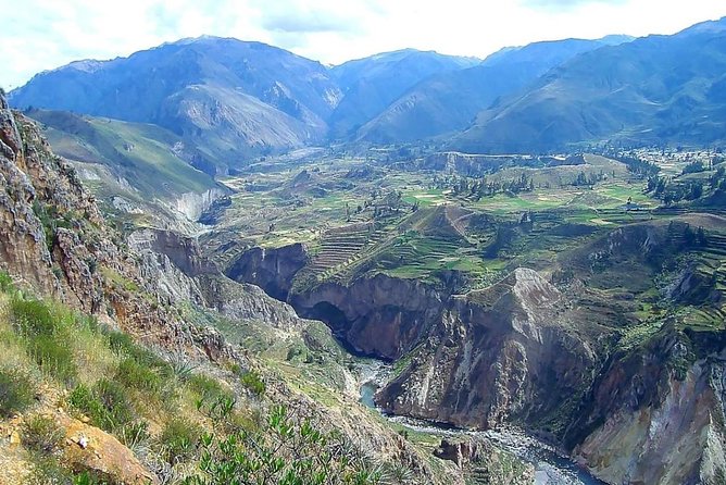 Tour Colca Canyon 2d -1n From Arequipa, Ending In Puno - Traveler Reviews and Ratings