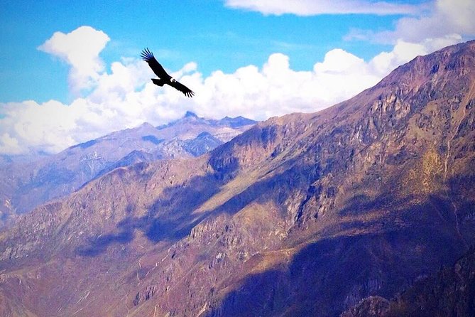 TOUR COLCA CANYON 2D - 1N (Shared Service) - Accommodation and Lodging Options
