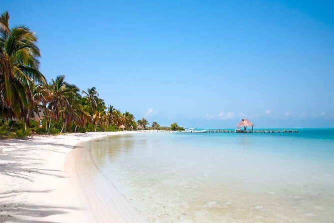 Tour Contoy Magic Island! Round Transportation From Cancun & Playa Del Carmen - Final Thoughts: Who Will Love This Tour?