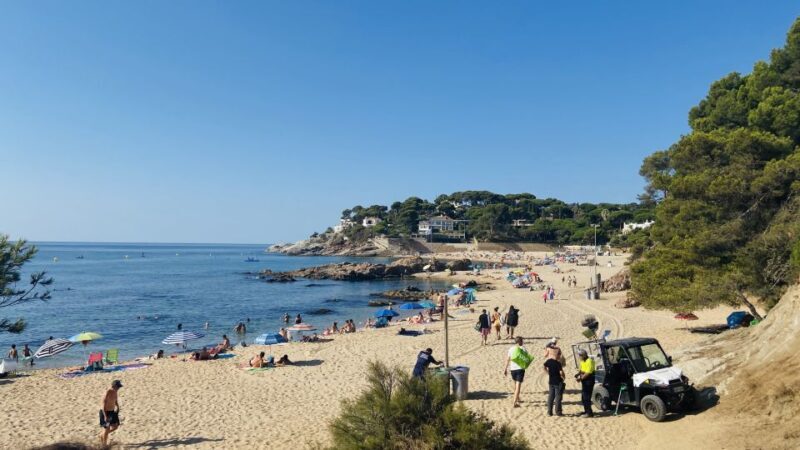Tour Costa Brava: Coastal Trails, Snorkel, Cliff-Jump & Meal - The Experience at a Glance