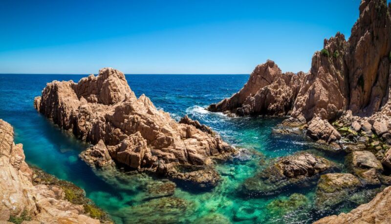 Tour Costa Brava: Coastal Trails, Snorkel, Cliff-Jump & Meal - Snorkeling and Marine Life