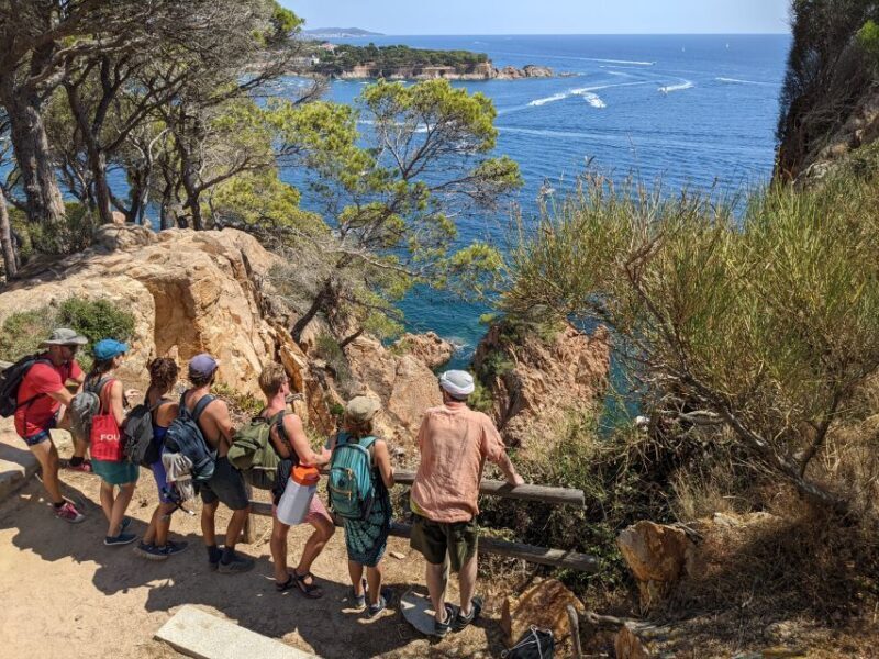 Tour Costa Brava: Coastal Trails, Snorkel, Cliff-Jump & Meal - Cliff-Jumping and Water Activities