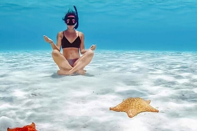 Tour Cozumel Snorkel Experience! Lunch & Transportation only from Cancun - Exploring the Cozumel Snorkel Experience from Cancun: An Honest Review