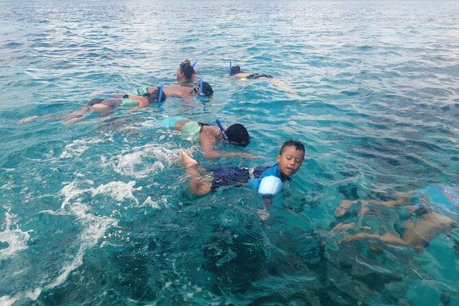 Tour Cozumel Snorkel Experience! Lunch & Transportation only from Cancun - Final Words