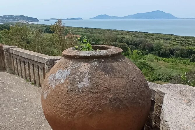 Tour Cuma and Pozzuoli - Local Culture Experience