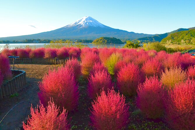 Tour De Día Completo Al Monte Fuji - Common Questions