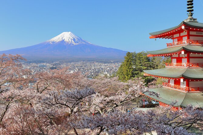 Tour De Día Completo Al Monte Fuji - The Sum Up
