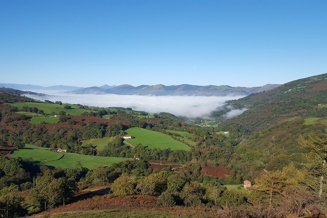 Tour De La Campagne Basque Française Depuis San Sebastian - Cultural Experiences